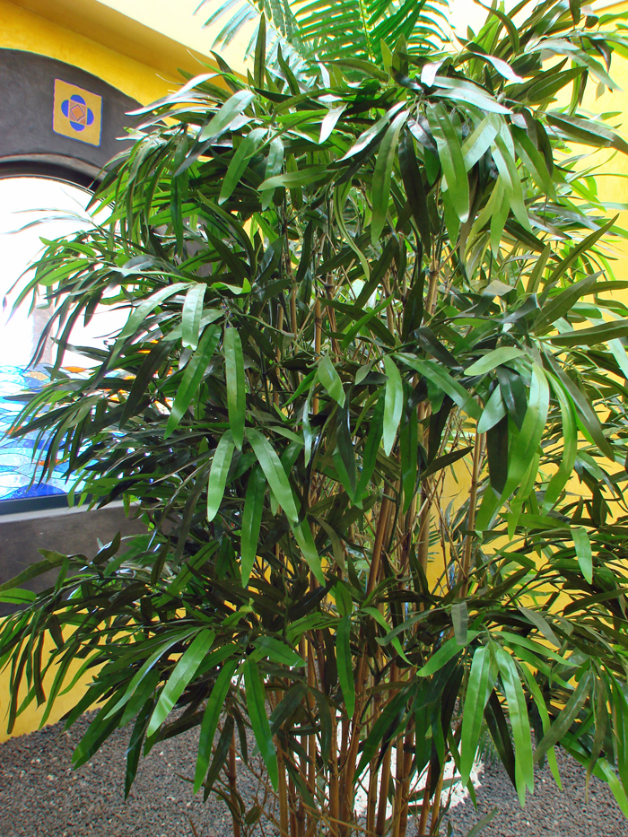 Pour retourner aux photos, cliquez ici...