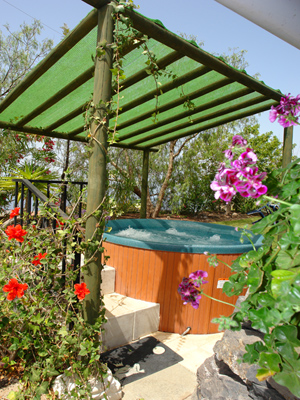 Cliquer pour agrandir