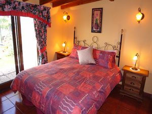 Cliquer pour agrandir