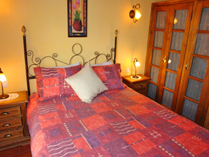 Cliquer pour agrandir