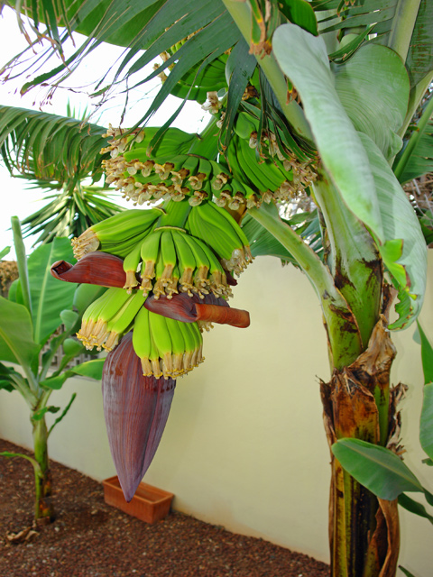 Per tornare alla foto, clicca qui