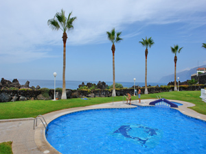 Cliquer pour agrandir