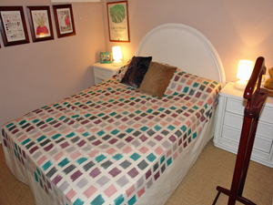 Cliquer pour agrandir