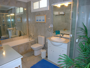 Cliquer pour agrandir