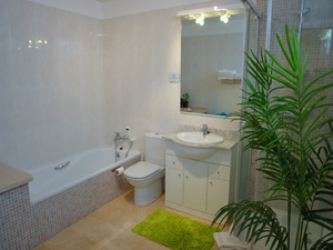 Cliquer pour agrandir