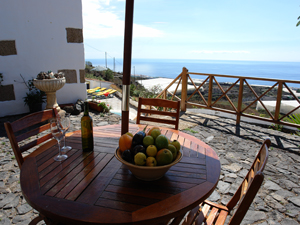 Cliquer pour agrandir