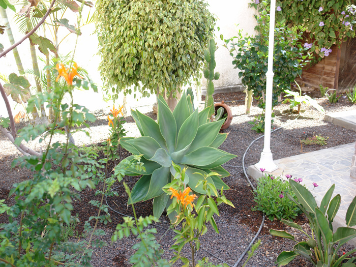 Per tornare alla foto, clicca qui!