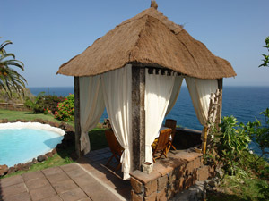 Cliquer pour agrandir