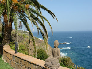 Cliquer pour agrandir