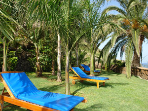 Cliquer pour agrandir