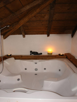 Cliquer pour agrandir