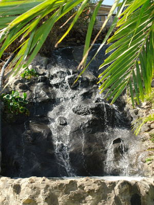 Cliquer pour agrandir