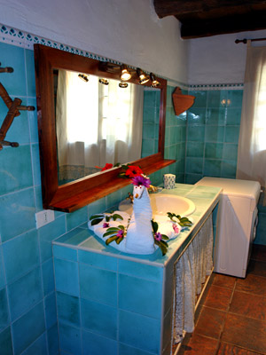 Cliquer pour agrandir