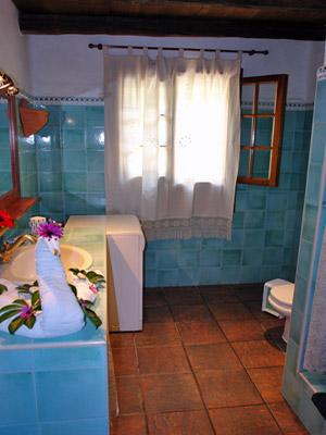 Cliquer pour agrandir