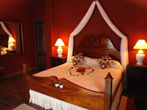 Cliquer pour agrandir