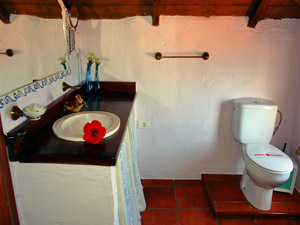 Cliquer pour agrandir