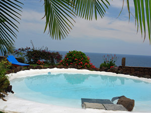 Cliquer pour agrandir