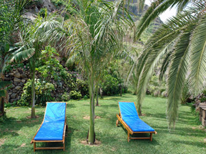 Cliquer pour agrandir