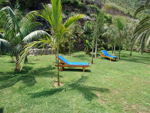 Cliquer pour agrandir