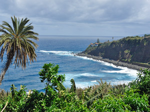 Cliquer pour agrandir