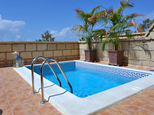 Cliquer pour agrandir