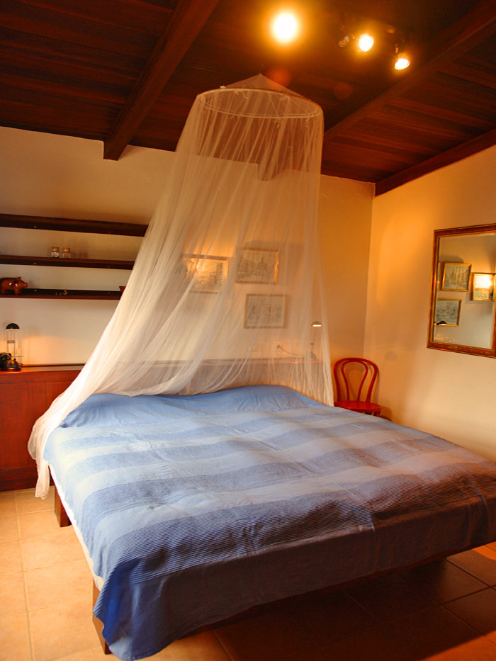 Per tornare alla foto, clicca qui!